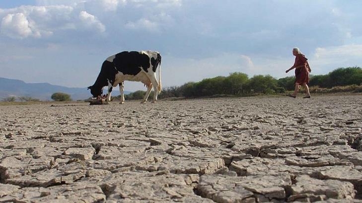 Ingenieros mexicanos desarrollan monitor para identificar magnitud de sequía