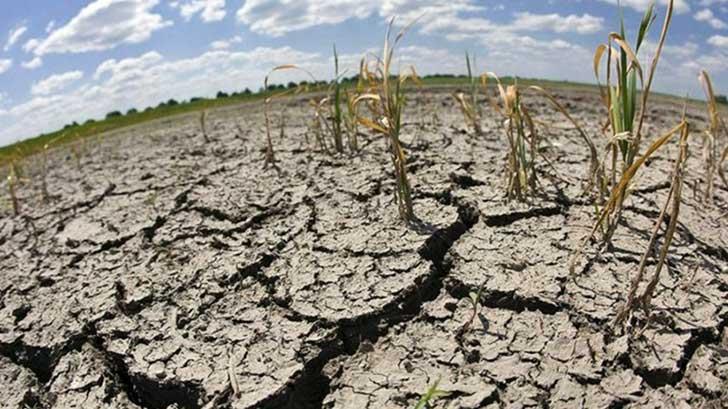 Es la peor sequía en 50 años: UGRS