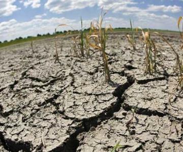 Sequía en Sonora ha dejado un déficit del 70% en acumulado de agua