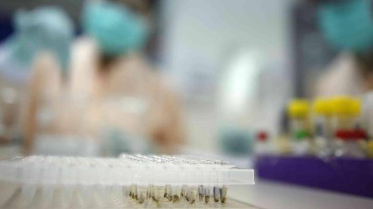 Sin reporte de nuevos casos de dengue en Sonora en los últimos 25 semanas