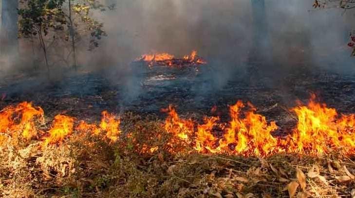 Población de Nácori Chico en alerta por incendio forestal