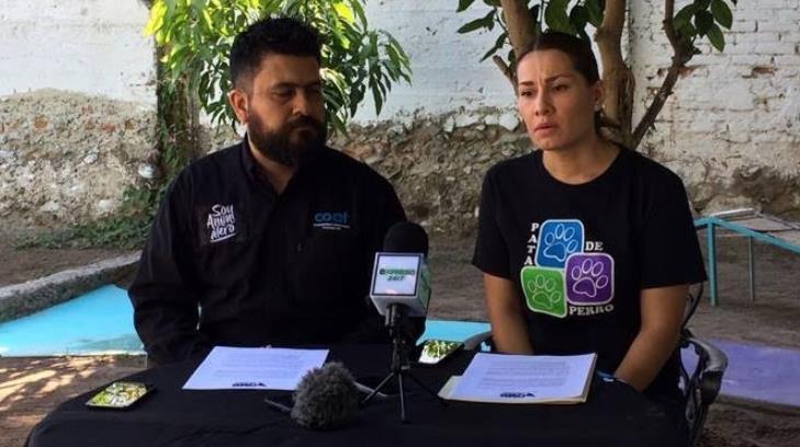 AUDIO | Coalición Animalista de Sonora exhorta a candidatos a incluir propuesta de protección animal