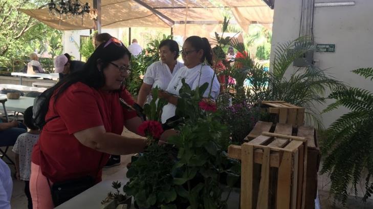 El amor a las plantas une a grupo de hermosillenses