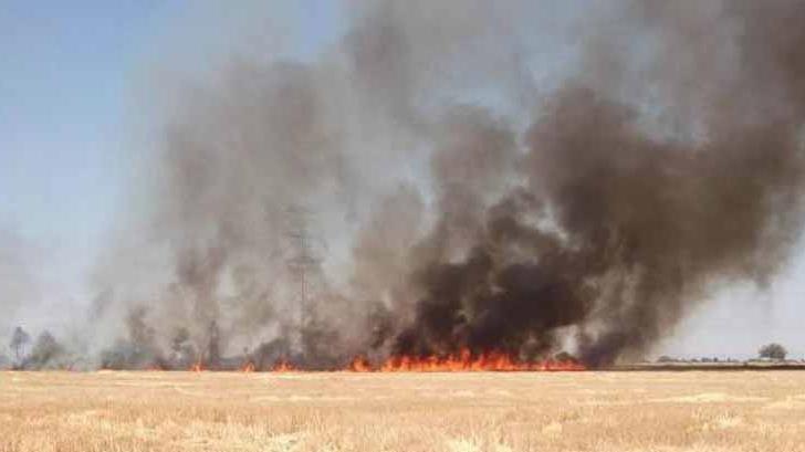 AUDIO | Solicitan a agricultores no quemar la gavilla