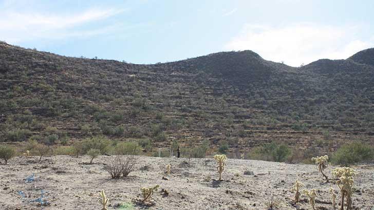 Zona arqueológica en Sonora reabre sus puertas para mostrar vestigios históricos