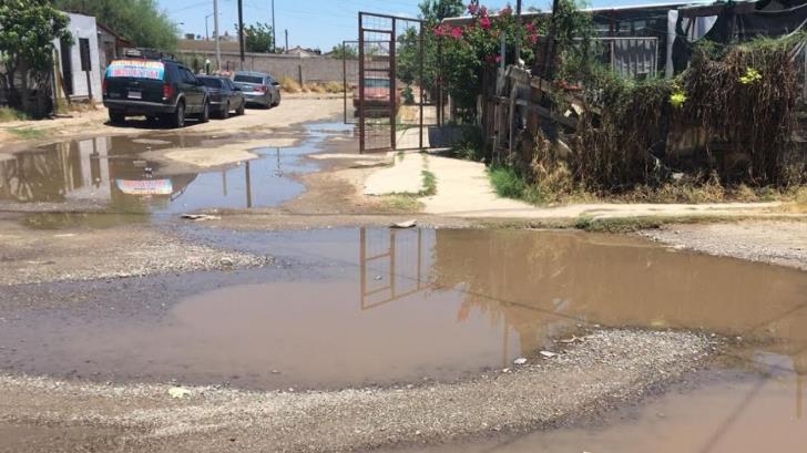 AUDIO | Vecinos de la colonia Real de Minas denuncian fuga de agua potable