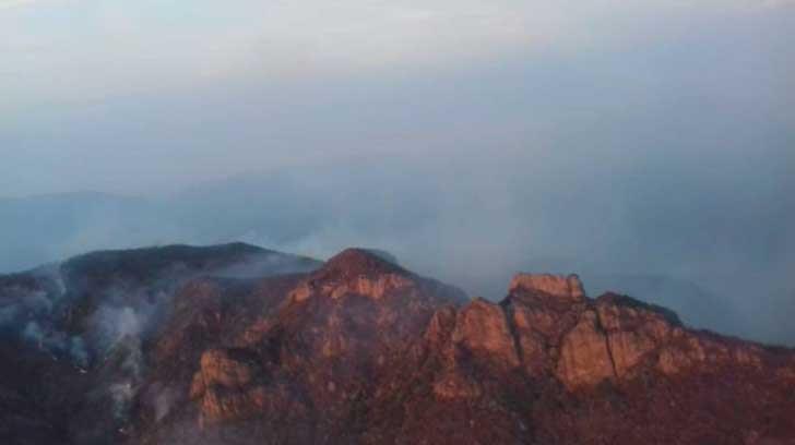 AUDIO | Incendio forestal en Quiriego consume mil 500 hectáreas