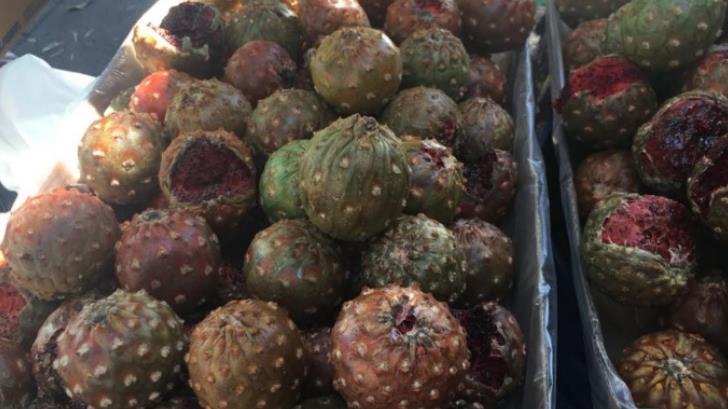 AUDIO | Vendedoras de pitahayas no se moverán del Mercado Municipal