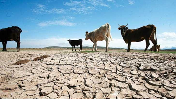 Preocupa sequía total en estados