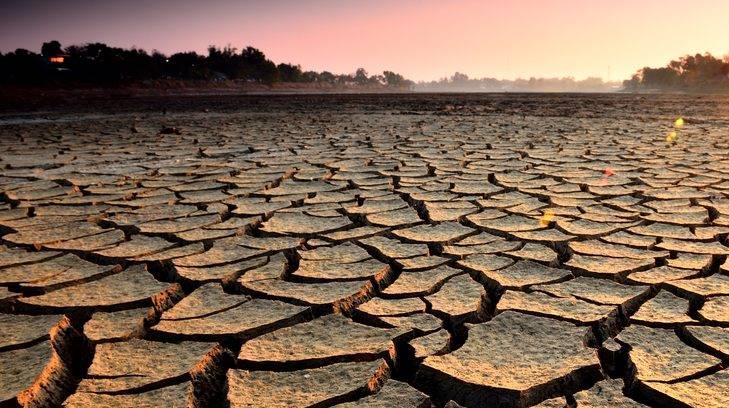 AUDIOS | Este 17 de junio es Día mundial de la Lucha contra la Desertificación y Sequía