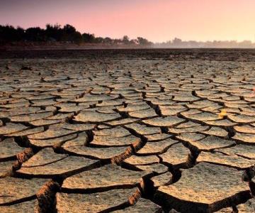 Alistan programa para mitigar efectos de la sequía en Sonora