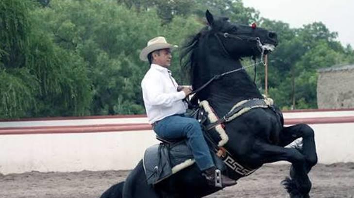 El Bronco cabalga en su caballo Tornado valuado en un cuarto de millón de dólares