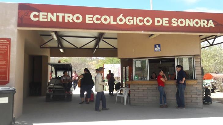 Centro Ecológico de Sonora busca intercambio de especies con zoológicos