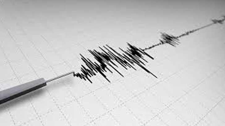 Sismo de magnitud de 5.1 se registra en Michoacán