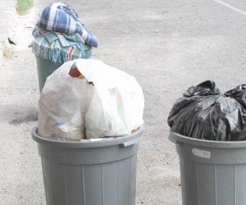 Sólo 2 de cada 10 hogares en Sonora separan la basura