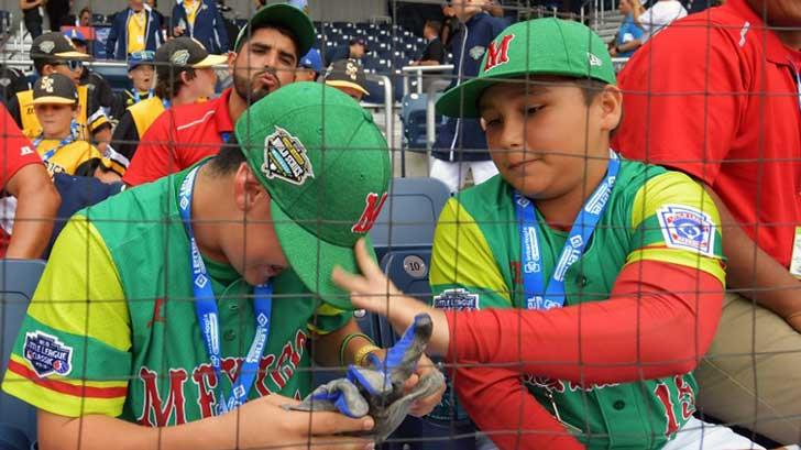 México es eliminado en la Serie Mundial de Ligas Pequeñas de Beisbol