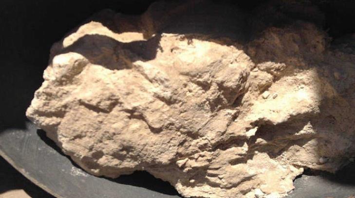 Científicos encuentran el queso más antiguo del mundo en una tumba egipcia