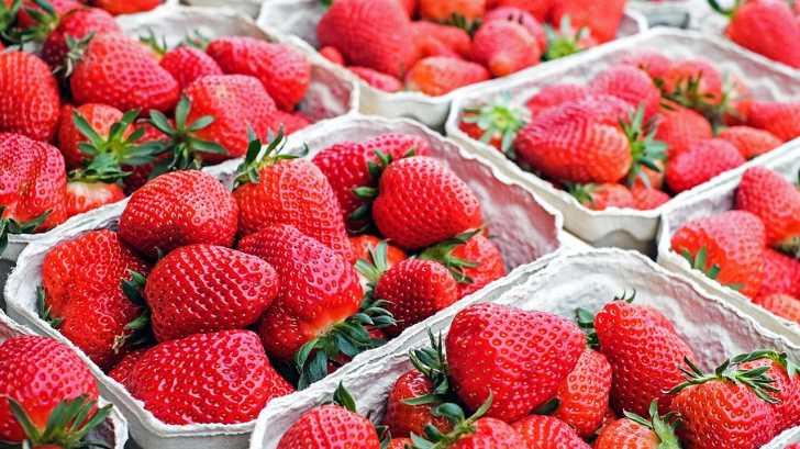Alerta en Australia por agujas y alfileres encontrados dentro de fresas