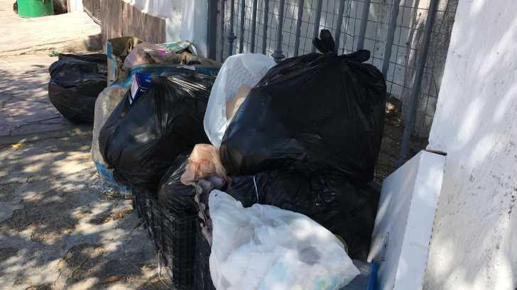 AUDIO | Vecinos de la colonia Balderrama se encuentran molestos por la falta de recolección de basura