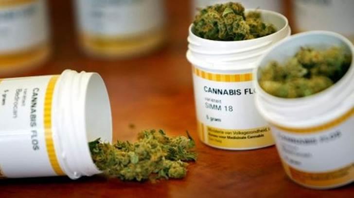Cofepris niega obstaculizar solicitudes de cannabis medicinal