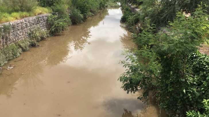 AUDIO | Maleza y agua estancada generan foco de infección en el canal del bulevar Lázaro Cárdenas