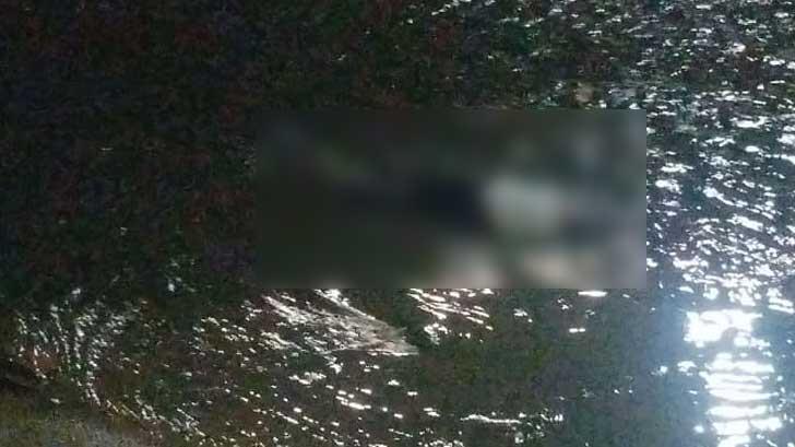 Identifican a mujer que murió al ser arrastrada por el arroyo Las Víboras