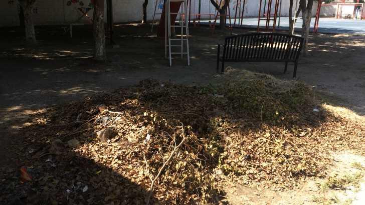 AUDIO | Vecinos de la colonia Sierra Vista reportan parque en estado de abandono