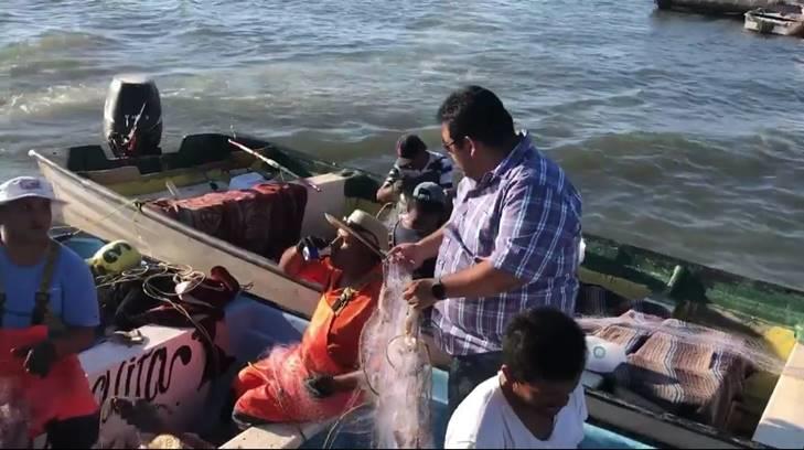 AUDIO | Pescadores de Guaymas y Empalme regresan con sus pangas llenas de camarón y buenas expectativas