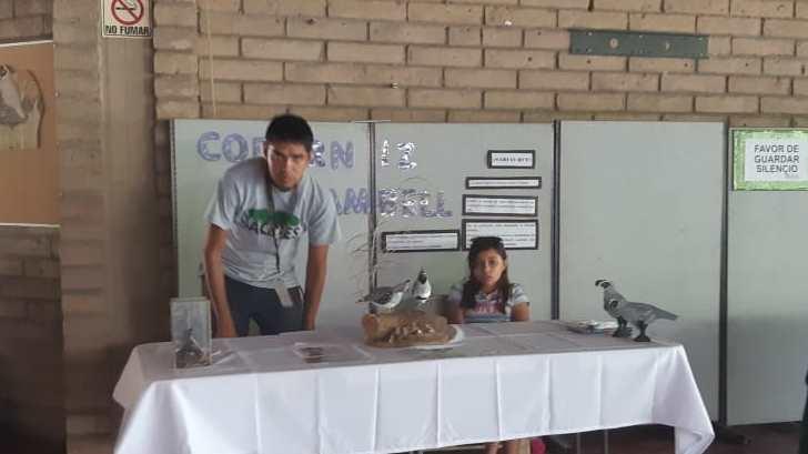 AUDIO | El Centro Ecológico de Sonora inaugura el festival ‘Alas Sonorenses’