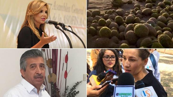 Declaratoria de emergencia, bolas verdes en Huatabampito, Villarreal niega desvío: Expreso 24/7