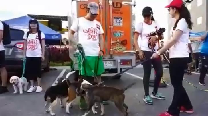 AUDIO | Asociación Pata de Perro invita a la carrera-caminata Happy Dog