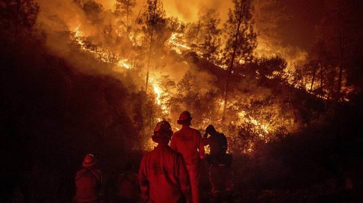 Reportan 84 muertos y más de 14 mil casas destruidas en incendio en California