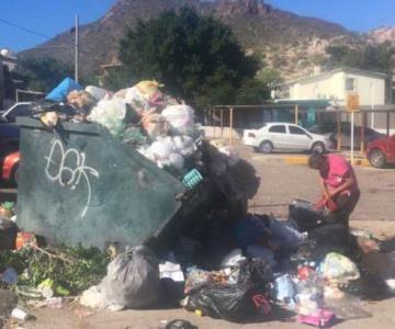 ¿Qué pasará con la basura en Guaymas? Le dicen a Clear Leasing que siempre no