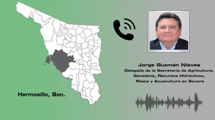 ENTREVISTA | La Sagarhpa pide que el sur de Sonora sea declarada zona de desastre