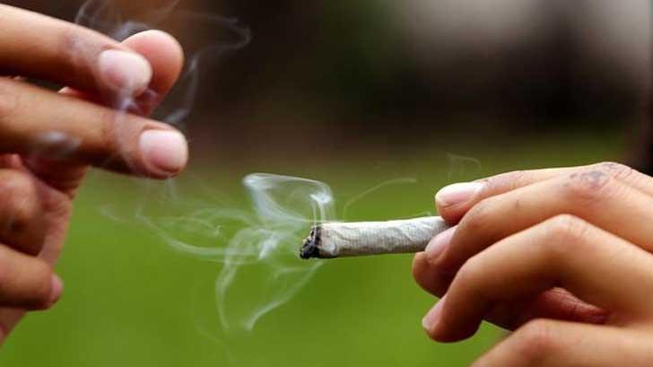 Director de clínica de rehabilitación urge a no legalizar el uso recreativo de mariguana