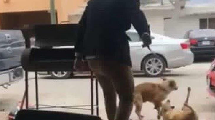 Muestran denuncia contra hombre que apuñaló a perro en Coahuila