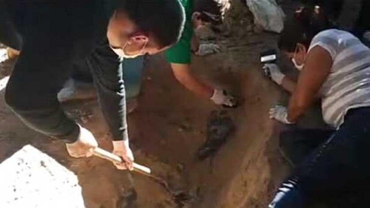 Buscadoras Guerreras de Sonora localizan más restos humanos en Empalme
