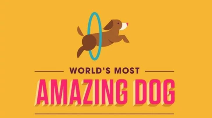 Facebook premiará con 100 mil dólares al perro que resulte ser el más extraordinario