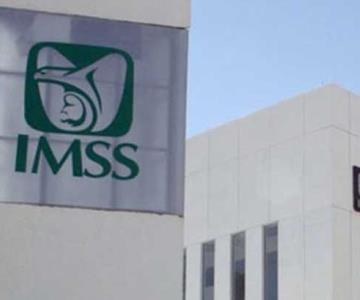 IMSS busca reducir ausentismo escolar y laboral con tratamiento de alergias