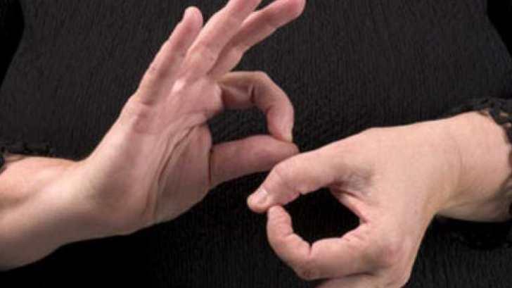 ¿Te interesa ser intérprete de lenguaje de señas? Ofrecen talleres gratuitos
