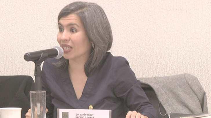 AUDIO | No existió ningún recorte para refugios de mujeres: Wendy Briceño