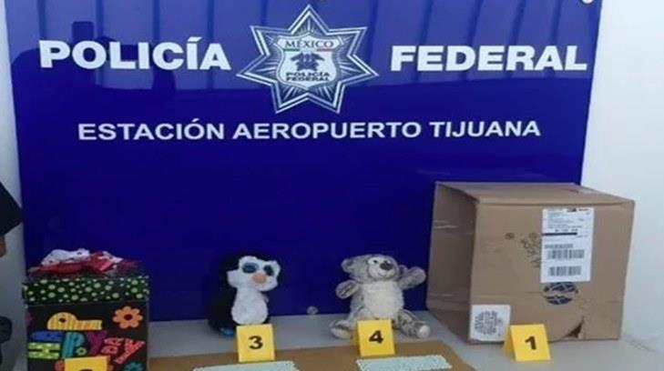 Aseguran droga oculta en muñecos de peluche en Baja California