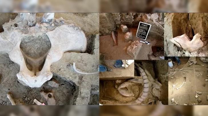 Confirman hallazgo de restos de mamuts en el Estado de México
