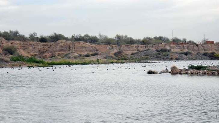 AUDIO | Construirán parque canino dentro del nuevo Ecoparque Río Sonora