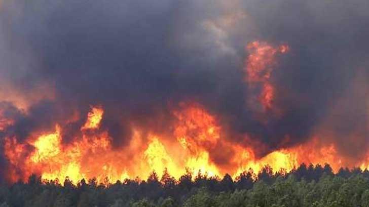 Cumple 48 horas incendio forestal en selva de Oaxaca