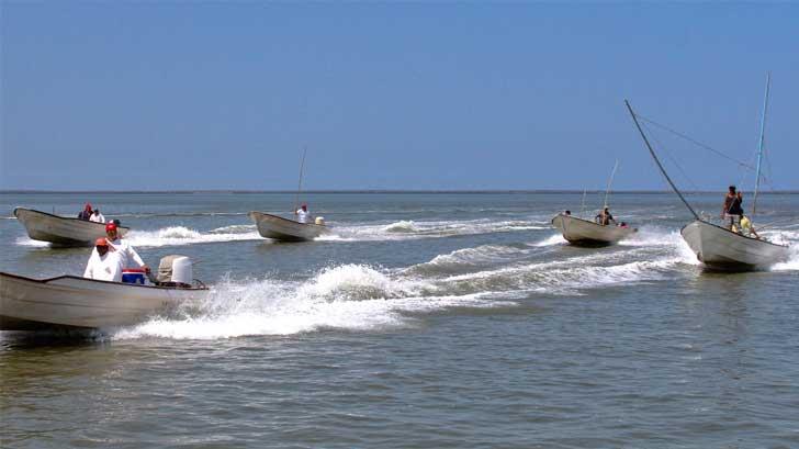 La Semar se incorpora a tareas de vigilancia para combatir pesca ilegal