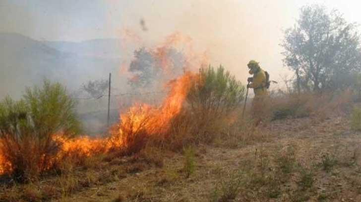 Incendios forestales podrían repuntar en el sur de Sonora