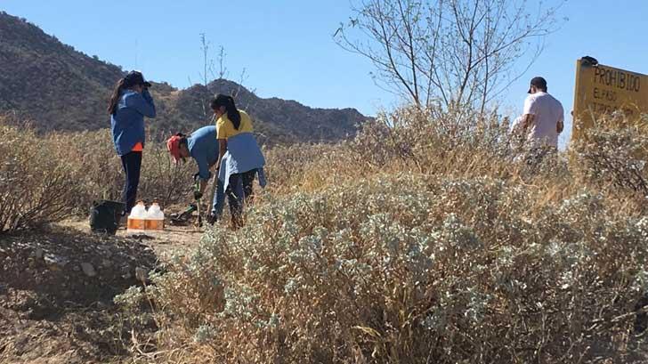 AUDIO | Agrupaciones civiles limpian y plantan árboles en el Cerro del Bachoco