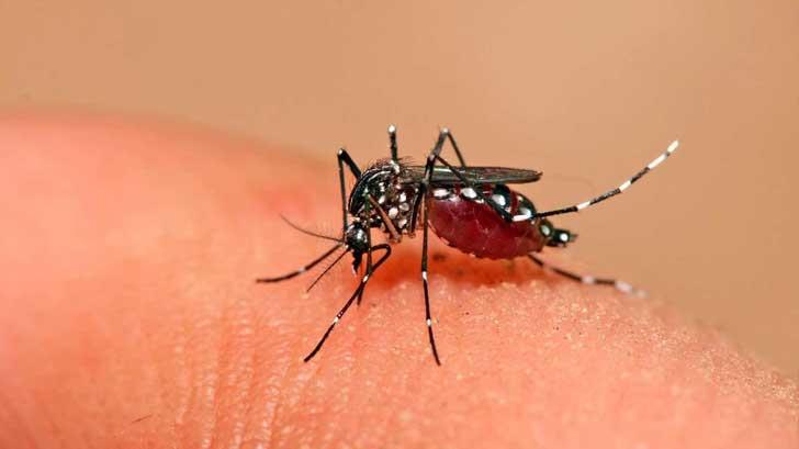 El dengue ha matado a 5 personas en Sonora; estos son los síntomas