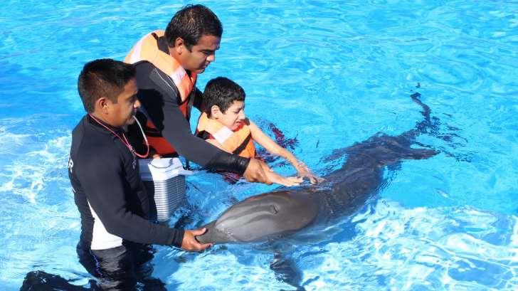 Avanza el programa de terapias asistidas con delfines